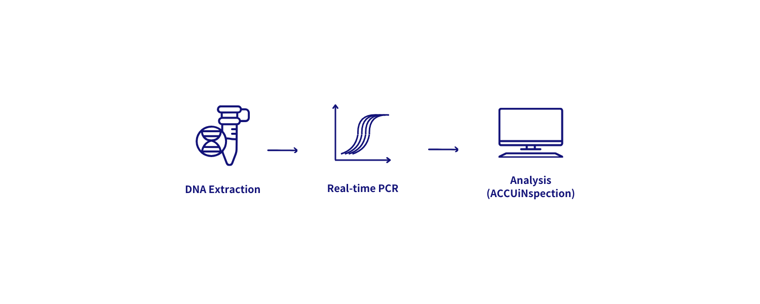 安奕SARS-CoV-2/FluA/FluB/RSV檢測試劑盒 流程圖